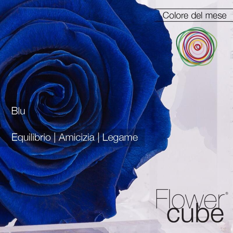 FlowerCube Blu – Lealtà - Vendita rose stabilizzate. Spedizioni in tutta  Italia