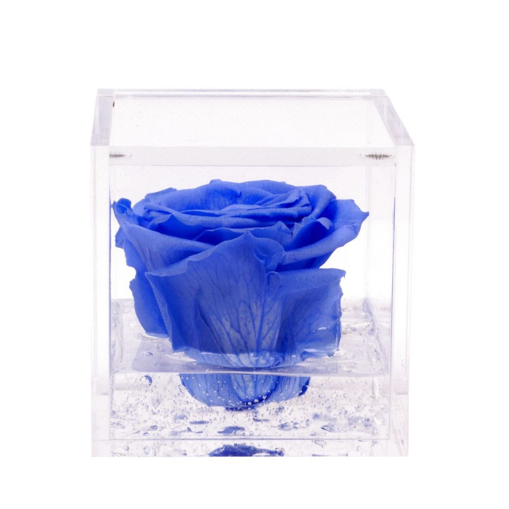 Rosa Stabilizzata Blu 8x8 cm Cubo in Vetro Con Confezione Regalo Festa Mamma