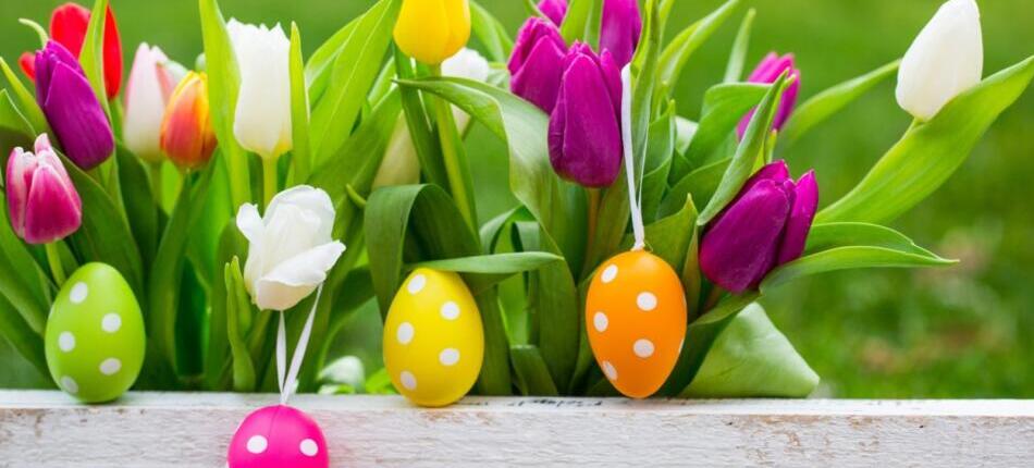 13-fiori-di-pasqua